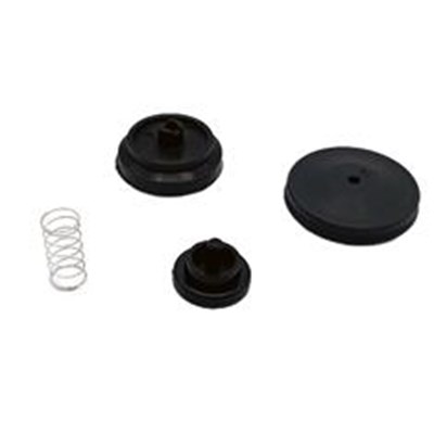 Check Valve Kit for 4.0 GPM High Flo Pro Series 12V Pump
