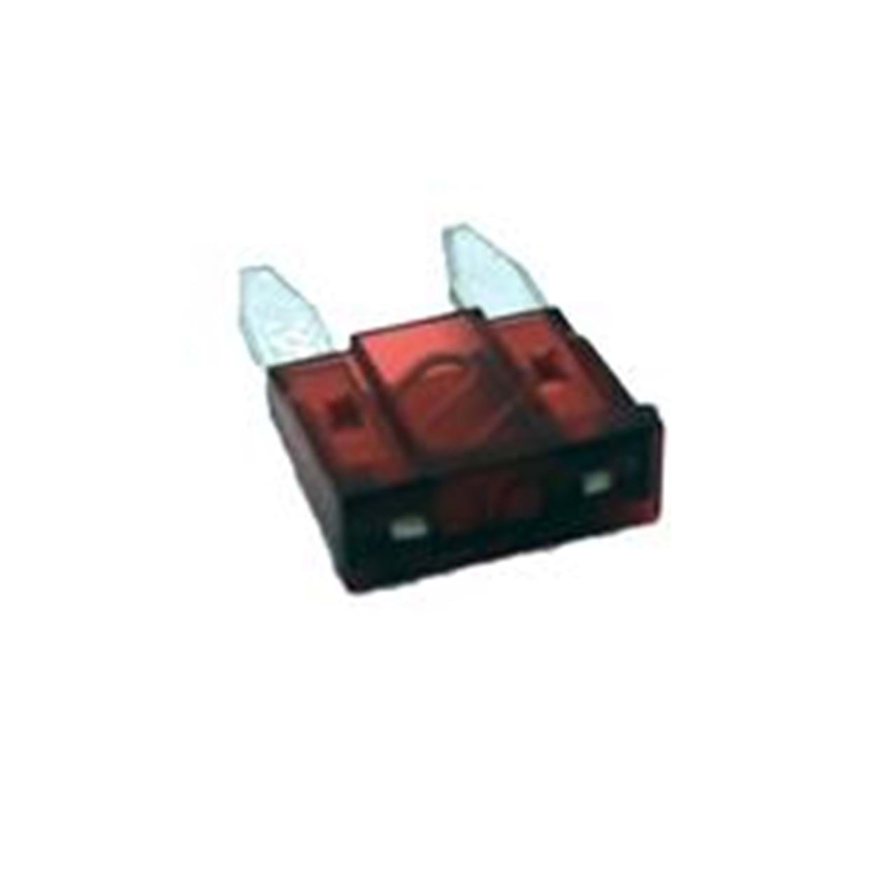 10 Amp Fuse for 2.1 and 2.4 GPM 12V High Flo Pumps