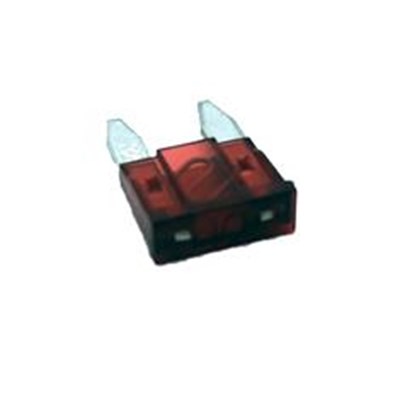 10 Amp Fuse for 2.1 and 2.4 GPM 12V High Flo Pumps