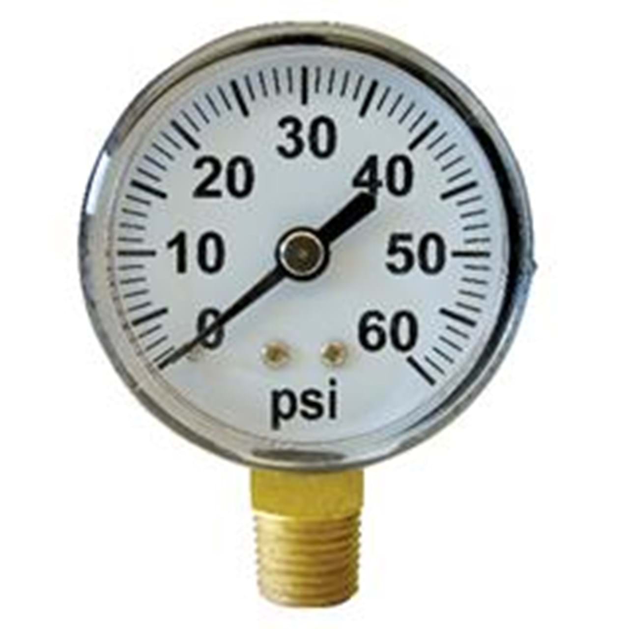 FIMCO Pressure Gauge 0-60 PSI 2" 