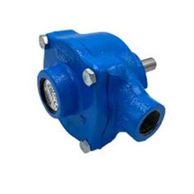 Hypro Cast Iron 6 Roller Sprayer Pump with 3/4" FPT Ports 