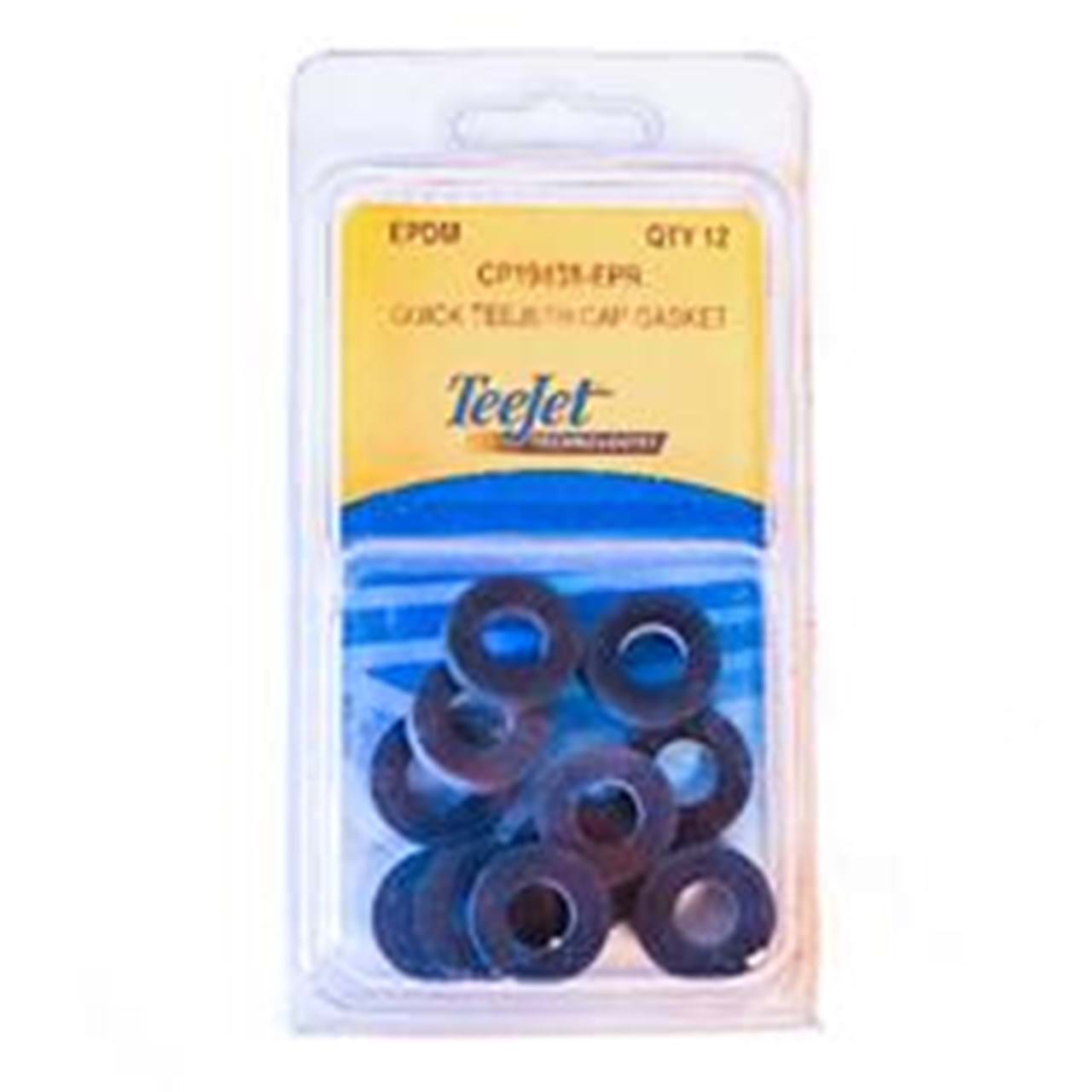 TeeJet CP19438-EPR Seat Gasket 12 Pack